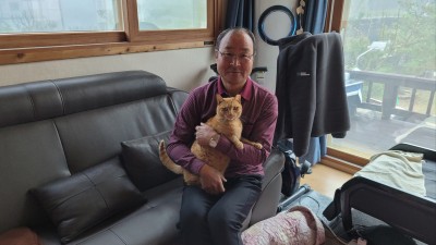 경기도 가평